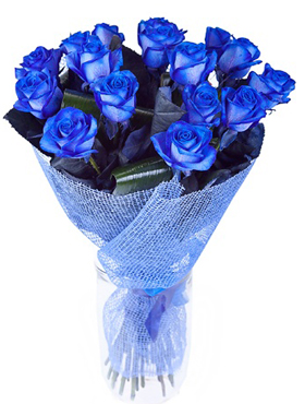 çiçekçi mavi gül