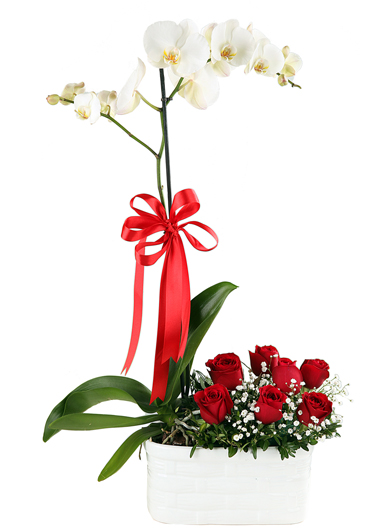  çiçekçi orkide ve gül